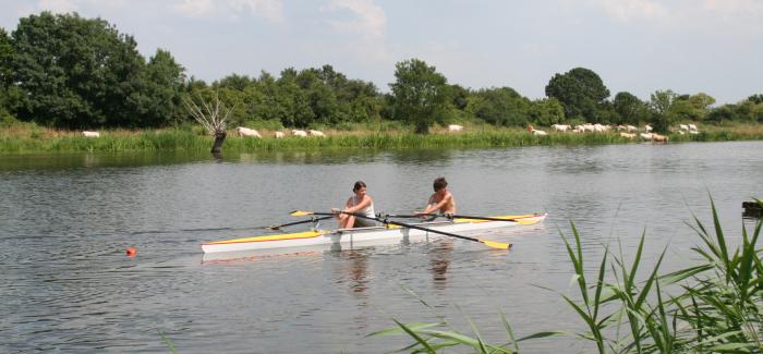 Aviron à Frossay